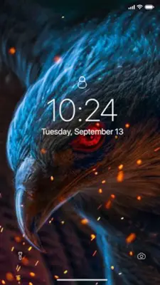 Eagle Wallpaper android App screenshot 3