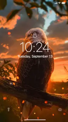 Eagle Wallpaper android App screenshot 6